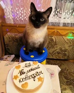Пост любима
