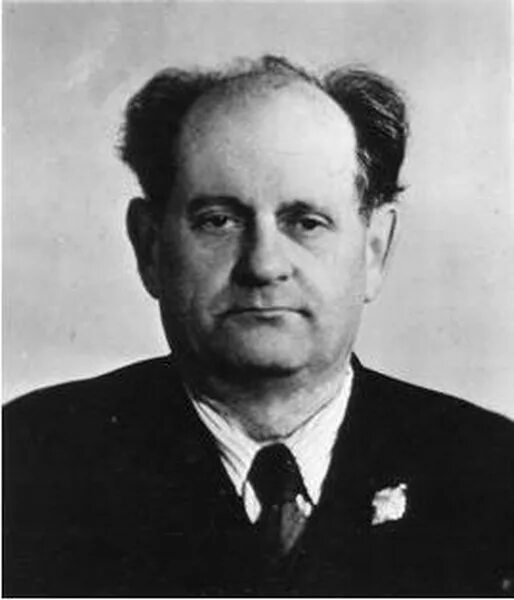 Иосиф маркович. Иргер иосиф маркович. виленский михаил яковлевич. виленский владимир. м.я. виленский, 1993). фото\.