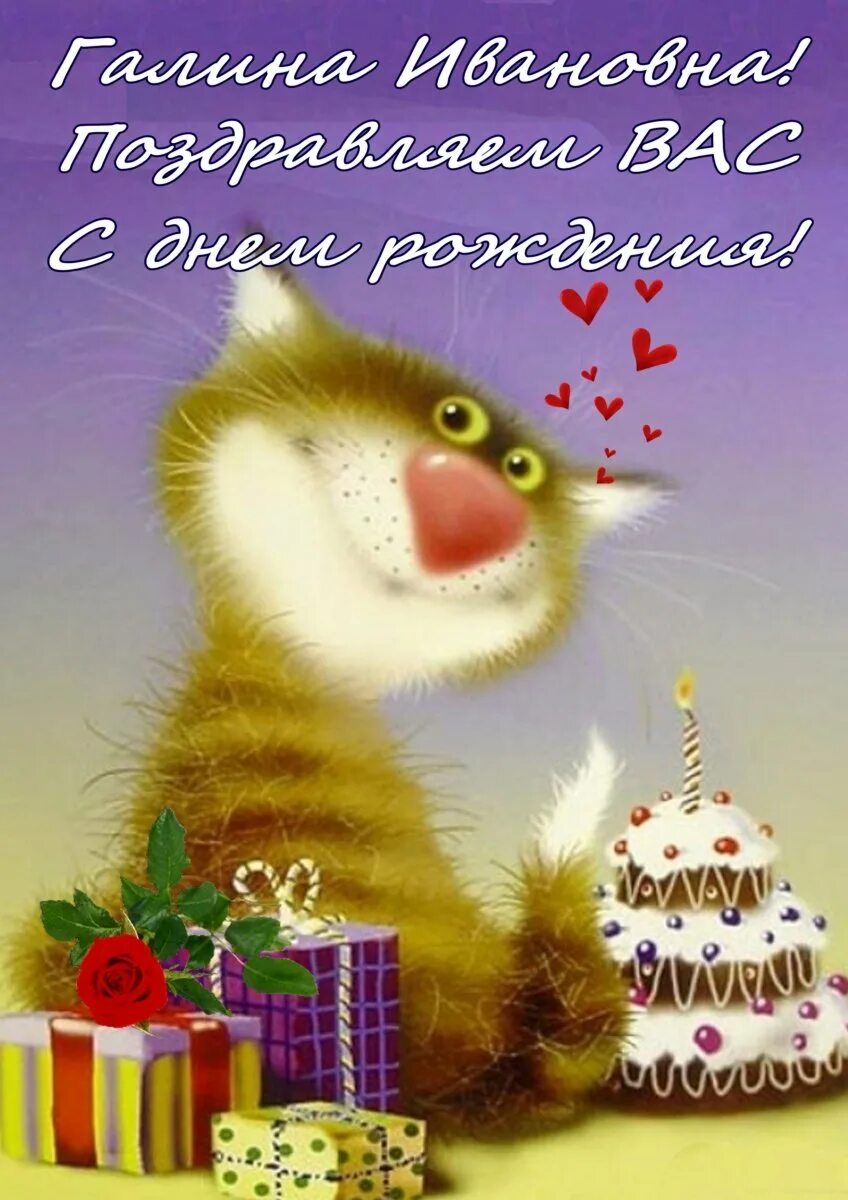 Котик поздравляет с днем рождения. Котик поздравляет с днем рождения. С днём рождения весёлые картинки. Открытка с днём рождения с совой. С днем рождения.