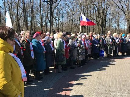 Гатчинские новости