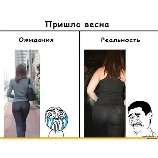 Реальность прикол