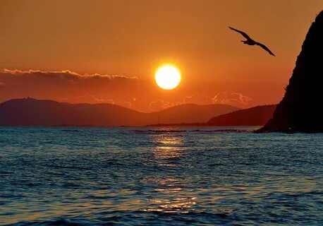 Закат море птицы красивые фото и картинки.