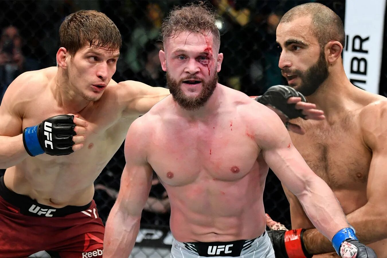 Год бойца ufc. Бойцы юфс 2021.