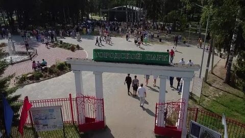 Шарья 2024