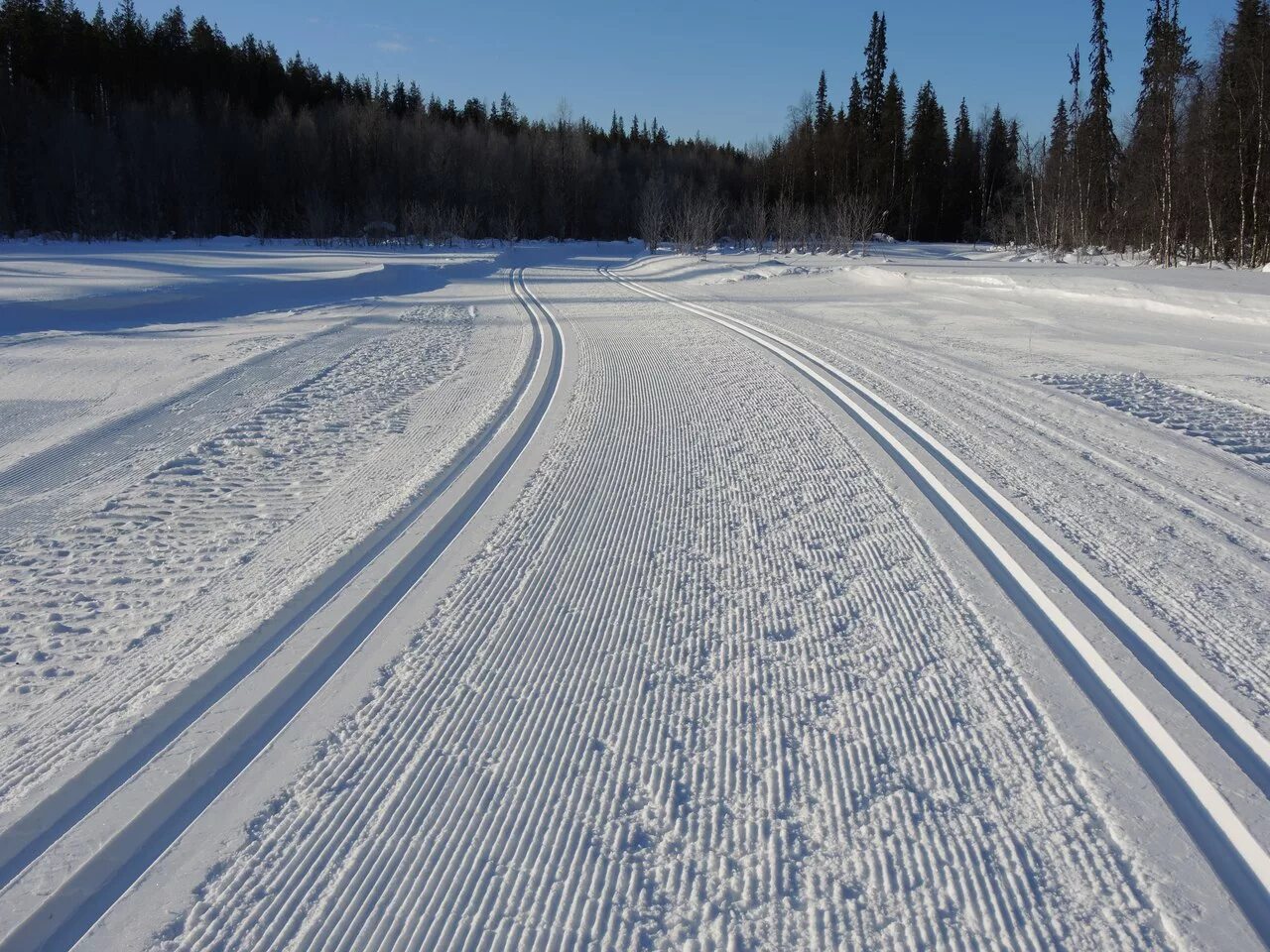 Лыжня. Лыжная дорога. Лыжные трассы. Лыжи на лыжне.