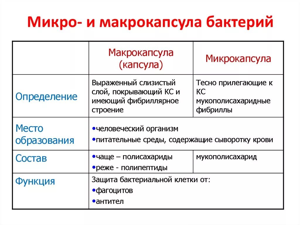 Макрокапсула капсула бактерий. Строение капсулы микробиология. Капсула строение и функции. Строение бактериальной капсулы. Бактерия строение функции