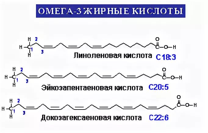 Омега 3 жирные кислоты формула. Структура Омега-6 жирной кислоты. Омега кислоты жирные кислоты. Омега-3 формула эйкозапентаеновая кислоты. Источник 3 жирных кислот ответ на тест