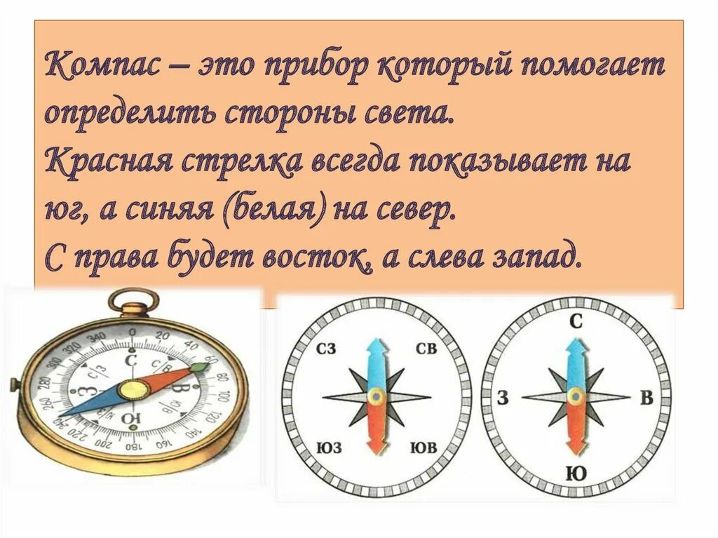 Стороны света на компасе. Определить стороны света. Определение сторон света. Компас указывающий на юг