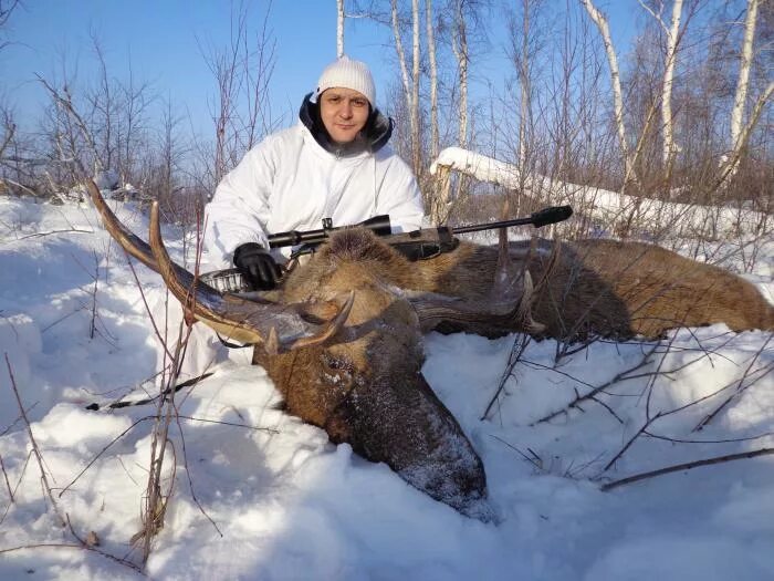 Охота в новосибирске купить