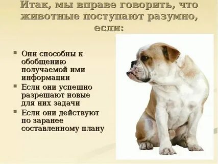 Этих животных считая что они