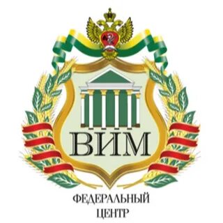 Вим