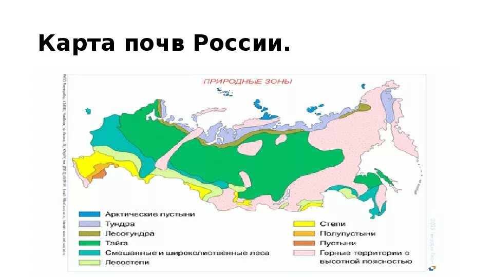 Типы почв контурная карта. Типы почв России карта. Основные типы почв РФ карта. Карта плодородия почв России. Основные почвы России на карте.