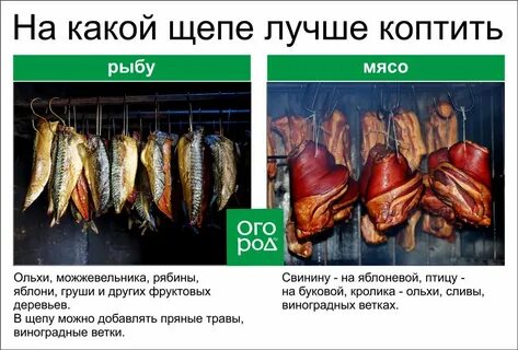 Коптильня температура
