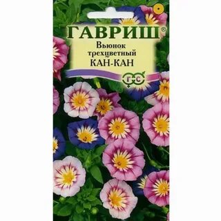 Вьюнок трехцветный семена