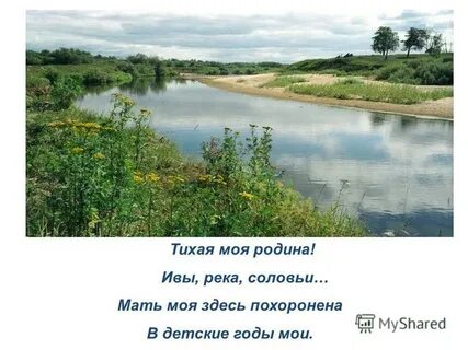 Стих тихая речка