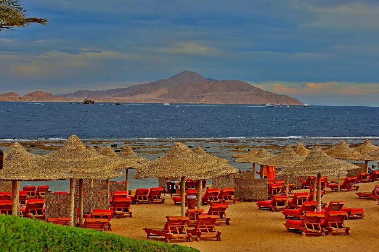 Отель charmillion египет шарм эль шейх. Шарм-эш-шейх египет. отель charmillion sea life resort. шарм эль шейх charmillion sea life resort 4. пляжи шарм эль шейха.