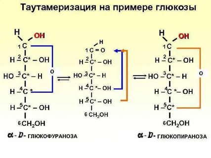 Функциональная группа углеводов