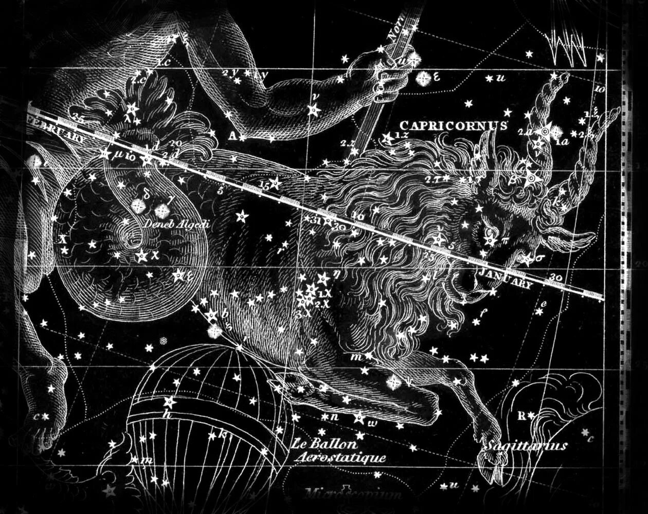 Созвездие рог. Capricorn Созвездие. Capricorn знак зодиака Созвездие. Созвездие козерога картинки. Козерог знак созвездия.