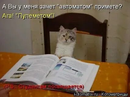 Курсанты выполнившие все контрольные работы сдали зачет