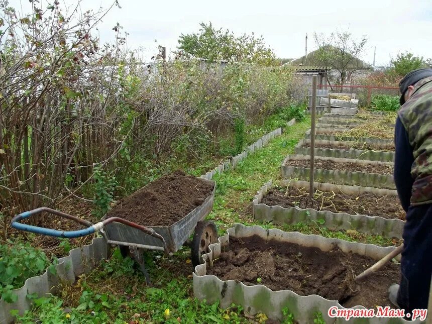 Ботва в грядки. Природное земледелие на садовом участке. грядки природное земледелие. огород без перекопки. органическое земледелие на даче практика.