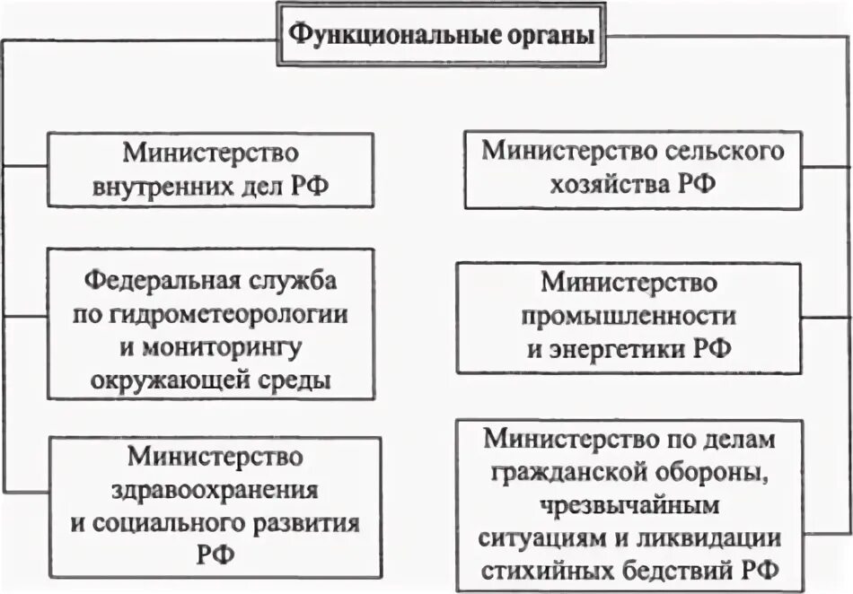 Структура органов экологического управления. Структура органов экологического управления