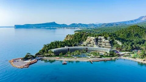 Ng phaselis