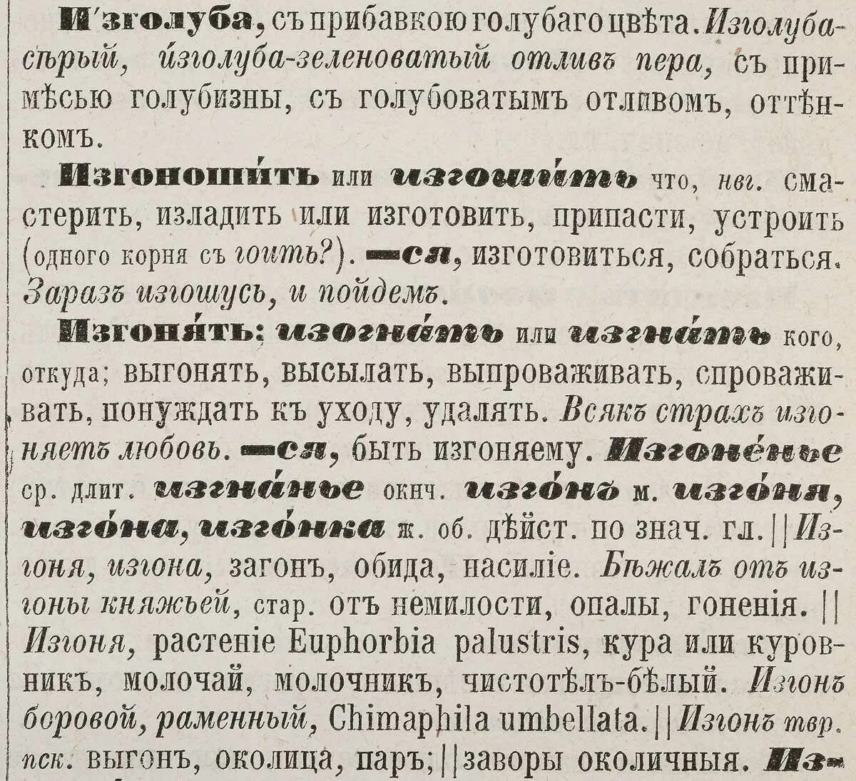 Кустарник по словарю даля 5 букв. Страница из словаря Даля. Толковый словарь Даля страницы. Пример словарной статьи толкового словаря Даля. Словарная статья толкового словаря.