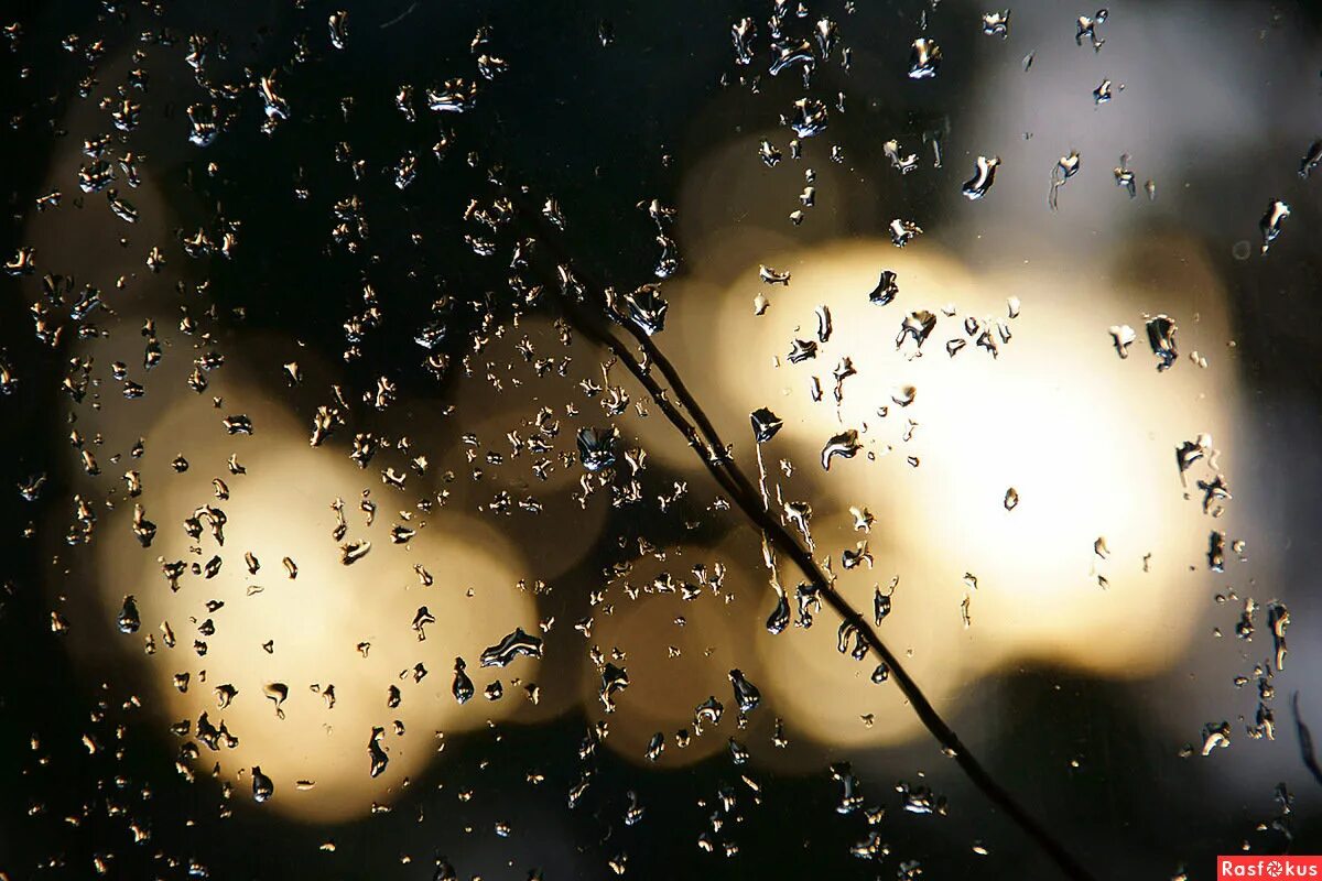 лед на лужах. праздник на улице летом дождь смыл. вымоет ливень. отвесный дождь. человек у окна дождь.