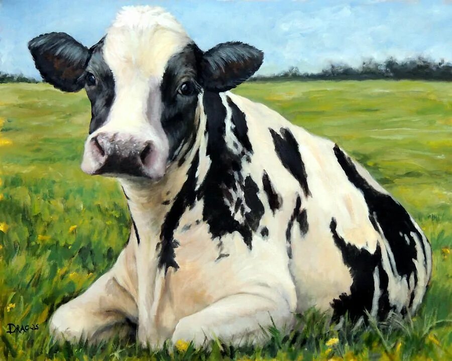 Картина коровы. Корова арт. Картина телки коровы. Красивые коровы арт. Холстейн корова.