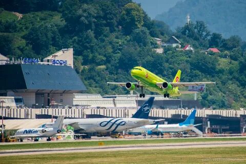 Аэропорт сочи белореченск