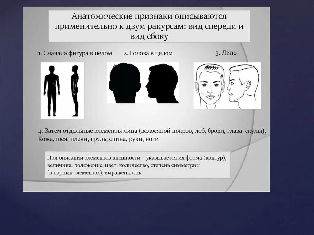 Создать облик человека. Элементы внешности человека. криминалистическое исследование внешних признаков человека. анатомические элементы внешности человека. анатомические признаки.