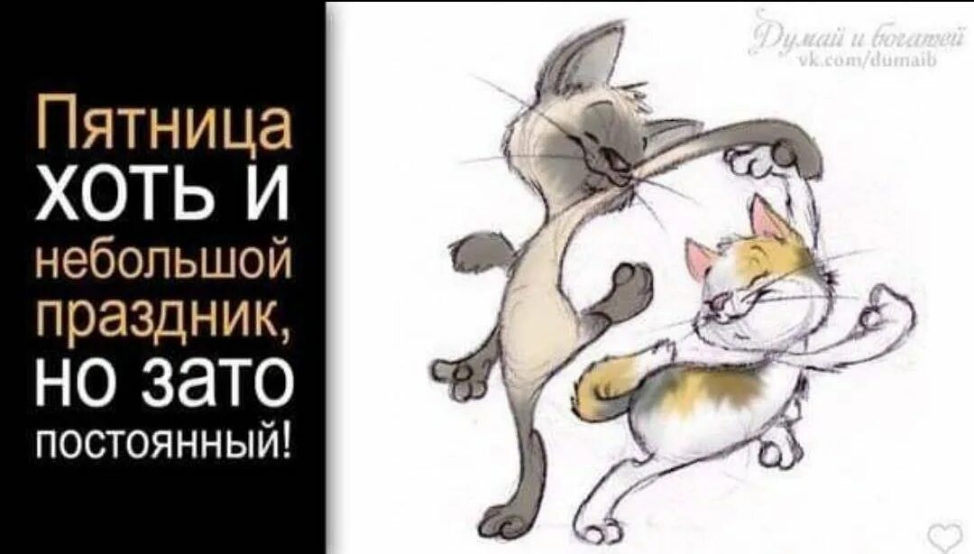 А здоровье мое не очень то лапы ломит то хвост отваливается. Зато красивая. Хулиганские цитаты. Джонни депп выбор между да и нет. Зато хоть.