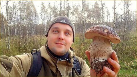 Будут ли белые грибы в октябре
