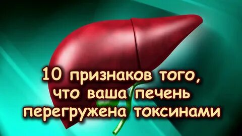Что значит перегружена печень