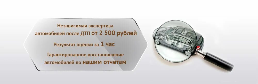 Где можно сделать независимую экспертизу. Где можно сделать независимую экспертизу