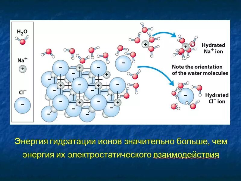 Взаимодействие ионов с водой. Взаимодействие ионов. Ионизация молекулы воды. Схема взаимодействия молекул воды. Растворение молекул.