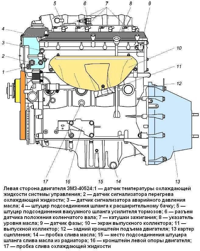 Газель двигатель устройство. Строение двигателя 405 евро 3. Двигатель газель змз 405. Датчики уаз 409 двигатель инжектор. Газель двигатель устройство.