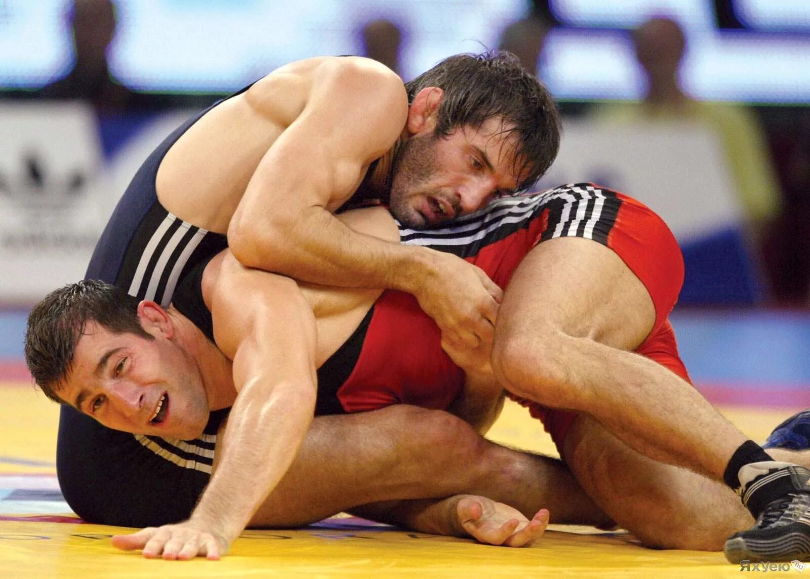 В каждой стране борьба. Сайтиев Вольная борьба. Wrestling Бувайсар Сайтиев. Борец Бувайсар Сайтиев.