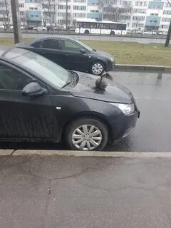 Упала гиря