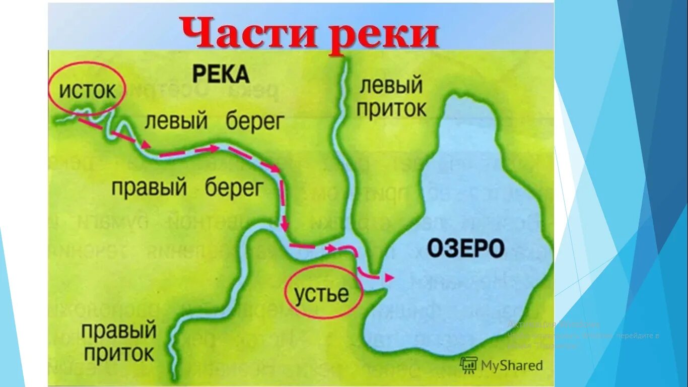 Воды какой реки протекают через. Части реки схема. Схема реки части реки. Части реки окружающий мир схема. Река Исток русло схема.