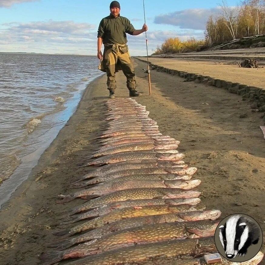 Рыбалка. Рыбалка в Якутии. Рыбалка фото. Якутская щука.