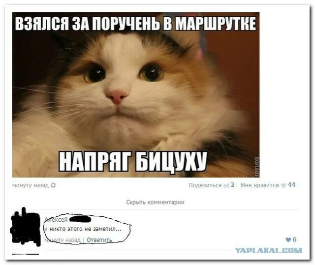 Нравится добавьте комментарий. Нравится добавьте комментарий