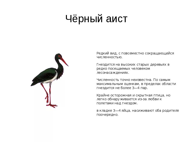 Красная книга Волгоградской области - презентация (животные)