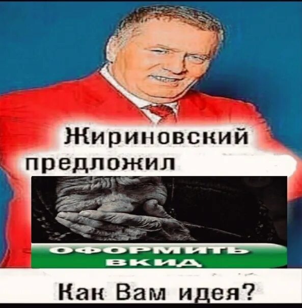 Что жириновский говорит о россии. Жириновский предложил. Жириновский предложил Мем. Жириновский предложил как вам идея.