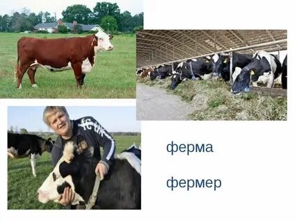 Ферма текст