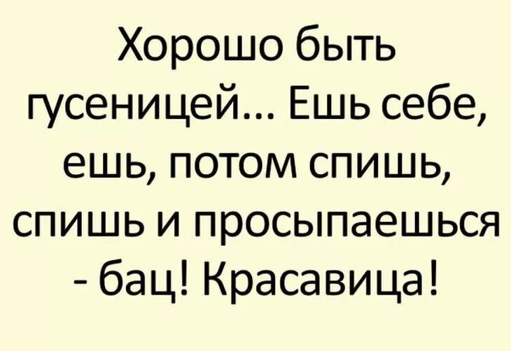 Хорошую веселую историю. Смешные истории. Короткие смешные рассказы. Интересные смешные истории. Самые смешные рассказы.