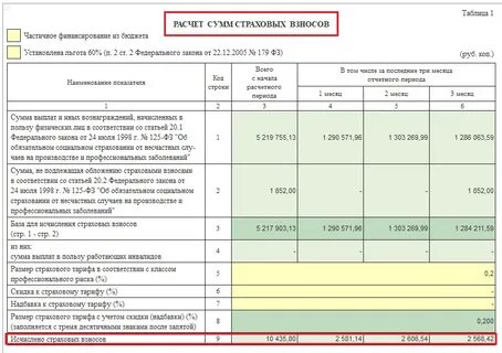Новый отчет 4 фсс