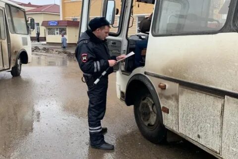 Водитель рейсового автобуса