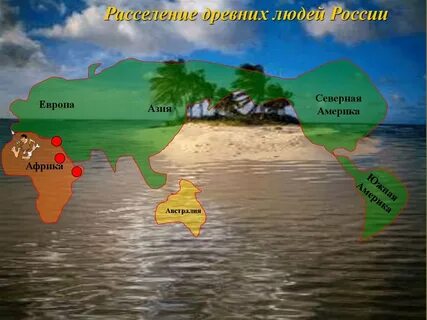 Первыми стали расселяться на суше семенные