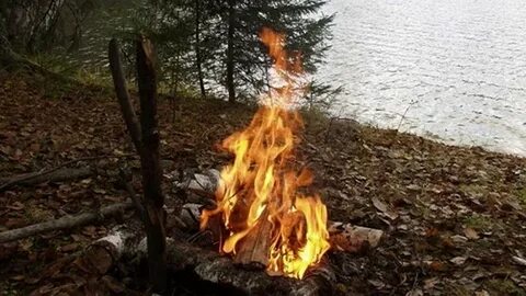 На опушке леса горел видневшийся издали костер
